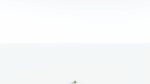 EVERYPlant Umbrella Thorn Acacia LowPoly 2 --12 Models--