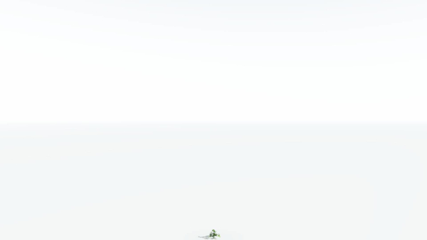 EVERYPlant Umbrella Thorn Acacia LowPoly 2 --12 Models--