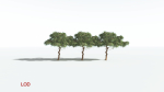 EVERYPlant Umbrella Thorn Acacia LowPoly 2 --12 Models--