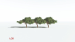 EVERYPlant Umbrella Thorn Acacia LowPoly 3 --12 Models--