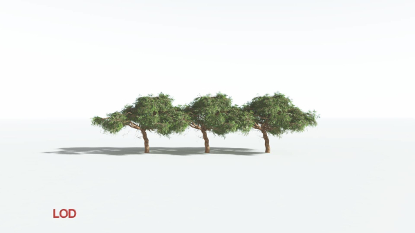 EVERYPlant Umbrella Thorn Acacia LowPoly 3 --12 Models--