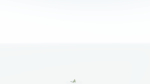 EVERYPlant Umbrella Thorn Acacia LowPoly 3 --12 Models--