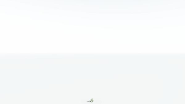 EVERYPlant Umbrella Thorn Acacia LowPoly 3 --12 Models--
