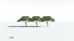 EVERYPlant Umbrella Thorn Acacia LowPoly 4 --12 Models--