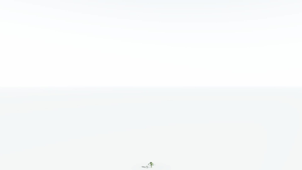 EVERYPlant Umbrella Thorn Acacia LowPoly 4 --12 Models--