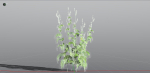 EVERYPlant Wood Sage 5 -- 14 Models--