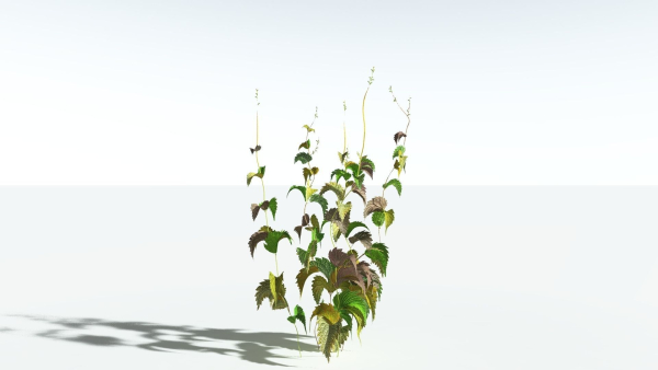 EVERYPlant Wood Sage 5 -- 14 Models--