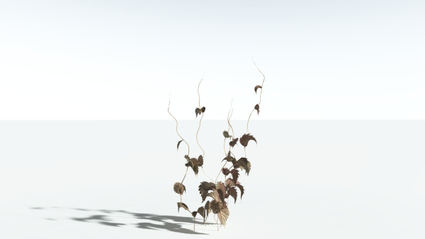 EVERYPlant Wood Sage 5 -- 14 Models--