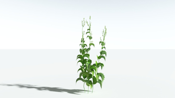EVERYPlant Wood Sage 5 -- 14 Models--