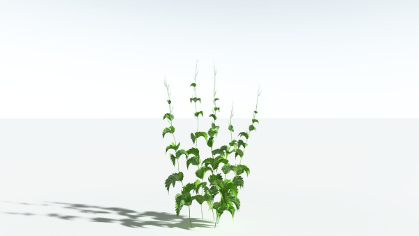 EVERYPlant Wood Sage 5 -- 14 Models--
