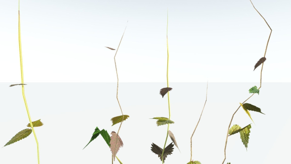 EVERYPlant Wood Sage LowPoly 5 -- 14 Models--