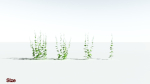 EVERYPlant Wood Sage LowPoly 5 -- 14 Models--