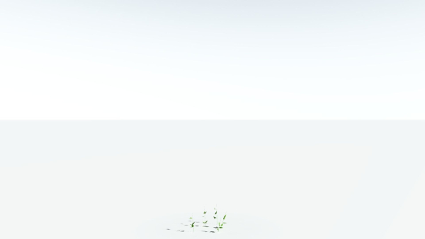 EVERYPlant Wood Sage LowPoly 5 -- 14 Models--