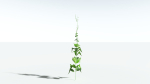 EVERYPlant Wood Sage LowPoly 5 -- 14 Models--
