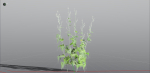 EVERYPlant Wood Sage LowPoly 5 -- 14 Models--