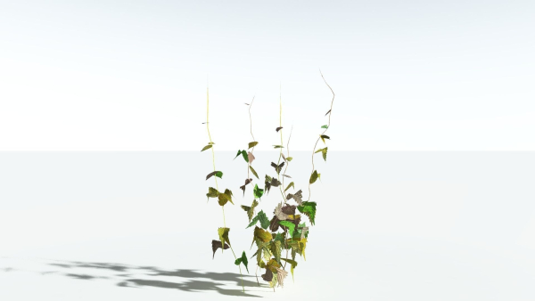 EVERYPlant Wood Sage LowPoly 5 -- 14 Models--