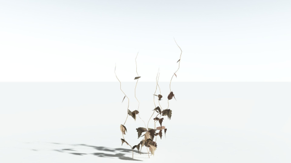 EVERYPlant Wood Sage LowPoly 5 -- 14 Models--