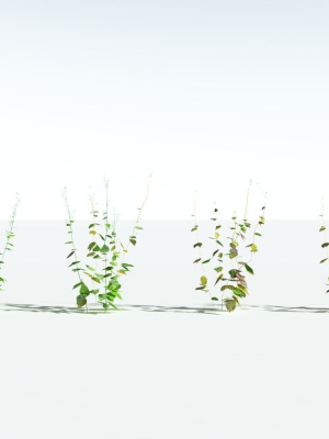 everyplant-wood-sage-lowpoly-5-14-models-3d-model-db624608df