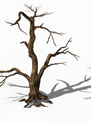explore-the-mountains-dead-wood-04-3d-model