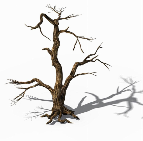 Explore the mountains - dead wood 04