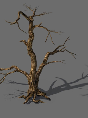 Explore the mountains - dead wood 04