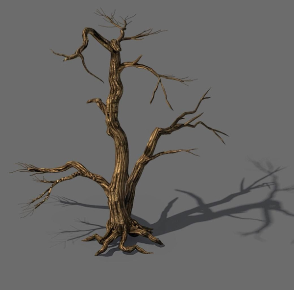 Explore the mountains - dead wood 04