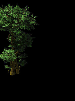 fairy-forest-banyan-01-3d-model-max