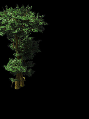 fairy-forest-banyan-03-3d-model-max