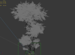 Fairy Forest-Banyan 03