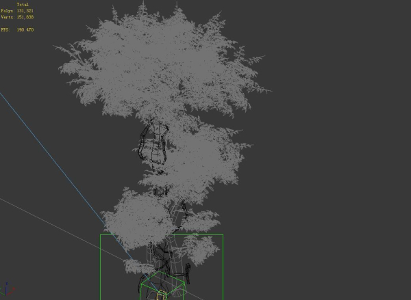 Fairy Forest-Banyan 03