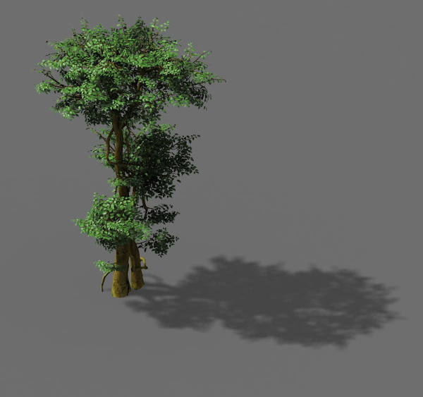 Fairy Forest-Banyan 03