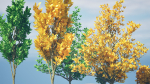 Fall and green Foliage Saplings trees 3d pack
