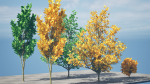 Fall and green Foliage Saplings trees 3d pack