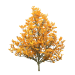 Fall and green Foliage Saplings trees 3d pack