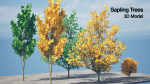 Fall and green Foliage Saplings trees 3d pack