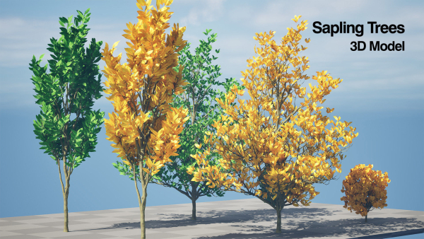 Fall and green Foliage Saplings trees 3d pack