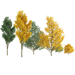 Fall and green Foliage Saplings trees 3d pack