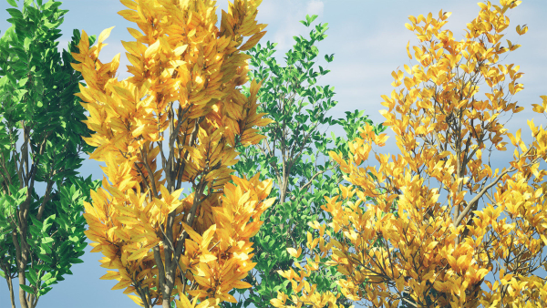 Fall and green Foliage Saplings trees 3d pack