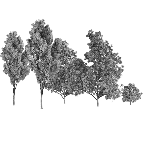 Fall and green Foliage Saplings trees 3d pack