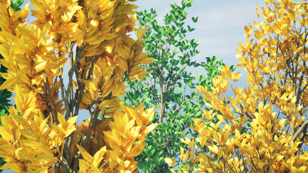 Fall and green Foliage Saplings trees 3d pack