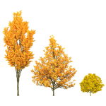Fall and green Foliage Saplings trees 3d pack