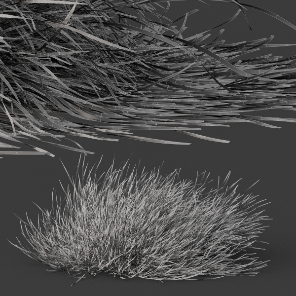 fall bush-6 different bush