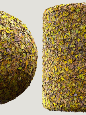 fallen-leaves-02-scan-materia-3d-model
