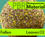 Fallen-Leaves 02