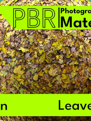 Fallen-Leaves 02