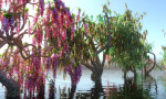 FANTASTIC GARDEN ANIMATED PACK TREES 12