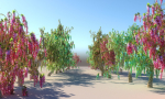FANTASTIC GARDEN ANIMATED PACK TREES 12
