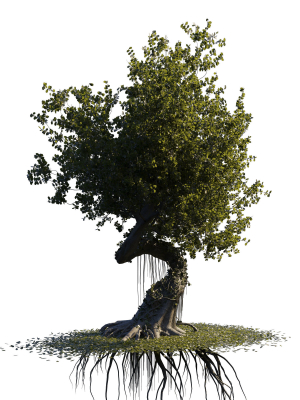 fantasy tree animated