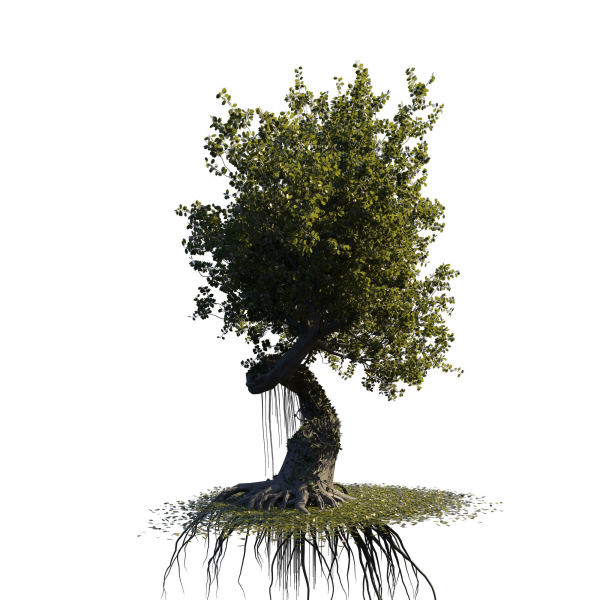 fantasy tree animated