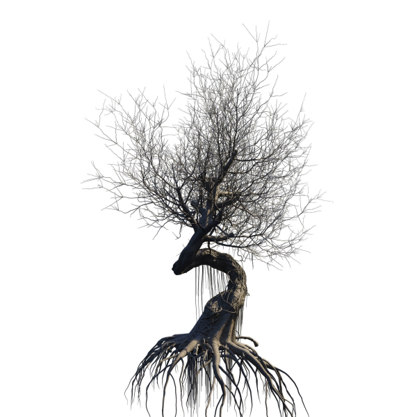 fantasy tree animated